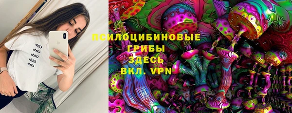 мдпв Абаза